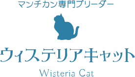 マンチカンについて | ウィステリアキャット｜お花茶屋のマンチカン・サイベリアンブリーダー