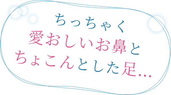 ちっちゃく愛おしいお鼻とちょこんとした足…